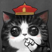 咖非猫的个人资料头像