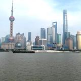 博学的鲸鱼qQI头像