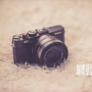 Irreplaceable的个人资料头像