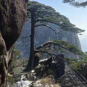 爱运动的双兔男头像