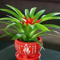 手机用户50619229740头像