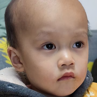 莫哥观世界头像