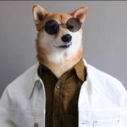 Temmie丶的个人资料头像