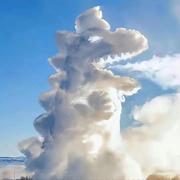 valse的个人资料头像