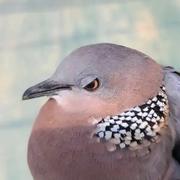 155198的个人资料头像