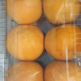 纯属虚构156325头像