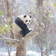 不想爬楼梯的个人资料头像