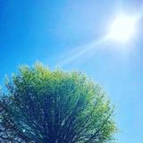 怀挺的年轻人头像