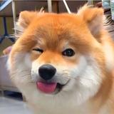 能吃是福DXL头像