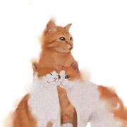 libin9iOak的个人资料头像