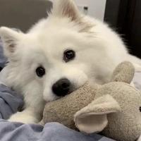 落叶纷飞归故城头像