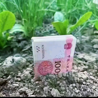 福建泉州泉港小施头像