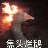 Xgg花Q头像