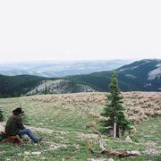 uniclee的个人资料头像