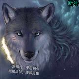 碧桂园东成大艺波斯工具-李自强头像