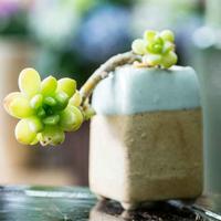 数控编程设计王老师头像