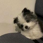 于是我驻足的个人资料头像