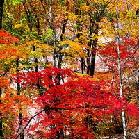 超低空飞行物头像