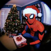 SpiderMan522的个人资料头像