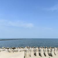 吃胡萝卜的小白菜头像