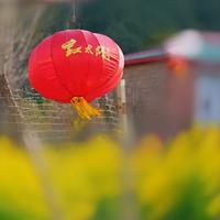 光之月亮湾头像