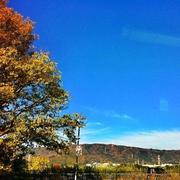 Sunnicholas的个人资料头像