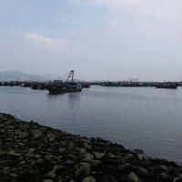 春夏秋冬67581头像