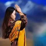 二八自行车头像