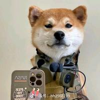 魔法师卡尔5e9头像