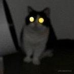 yu_dong的个人资料头像