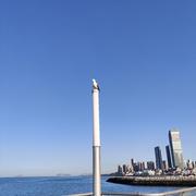 王涛57的个人资料头像