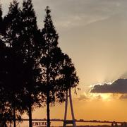 Halo502的个人资料头像