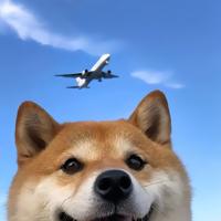 小刘同学769头像