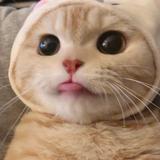 等天黑ff头像
