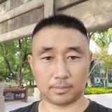 利辛马头像