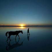 JasonNorris的个人资料头像