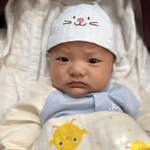 积极的冰淇淋Ps头像