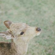 云卷云舒i的个人资料头像