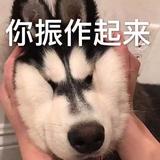 安静科技说头像