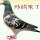 成功24883头像