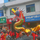 莫怪影头像