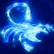 星星的泪痕的个人资料头像