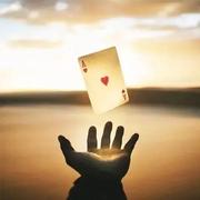 用户7382888632619的个人资料头像