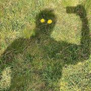 用户3438308556136的个人资料头像