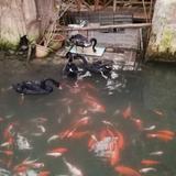 用户1618914607844袁头像