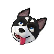 ncyayxj的个人资料头像