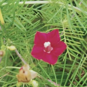 医者是什么样的人 头条搜索