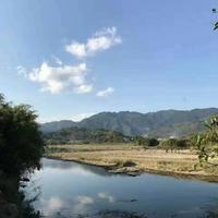 A开心生活972头像