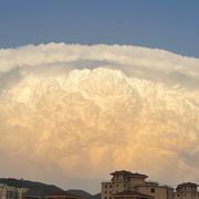 虫虫子的个人资料头像