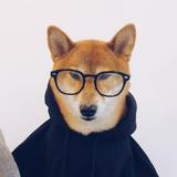 青春逢盛世s头像